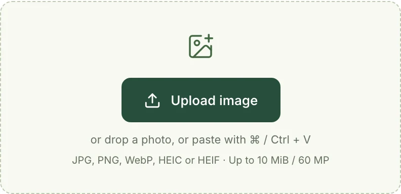 Mattevia’s English upload area showing supported image formats and file limits.