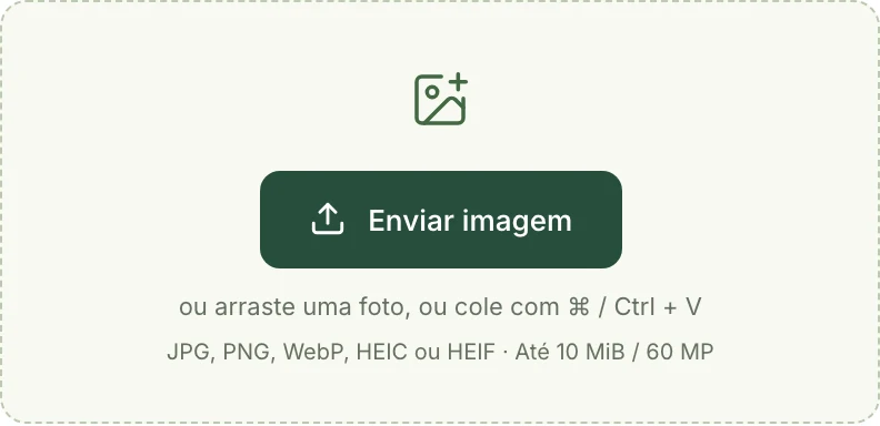 Área de envio de imagens do Mattevia em português, com os formatos e limites aceitos.