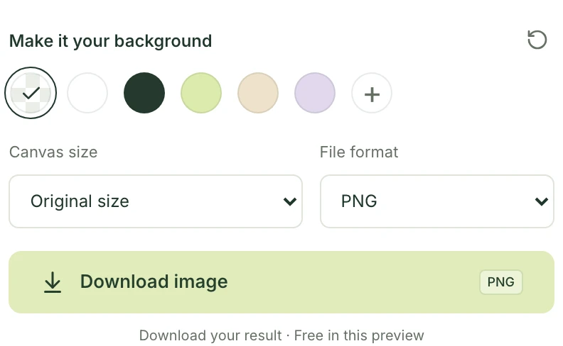 Mattevia export controls with the checkerboard transparency swatch selected and PNG as the file format.
